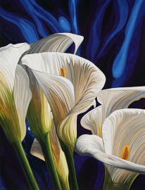 Cala Lilies#2